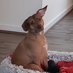 Fundraising Page: Courtney Lane